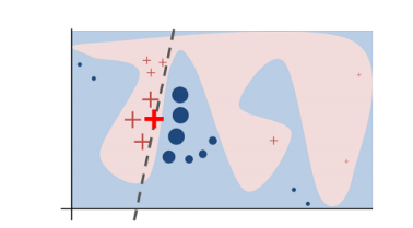 Figure 1. Decision boundary of blackbox model. Source